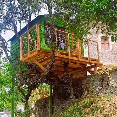 Arcadianis At Psari Trikolonon Gortynia * Psárion