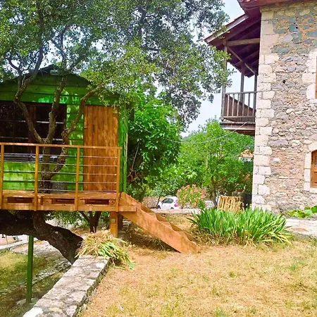Arcadianis At Psari Trikolonon Gortynia *
