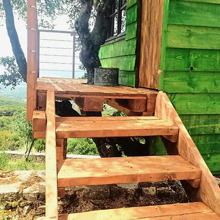 Arcadianis At Psari Trikolonon Gortynia *