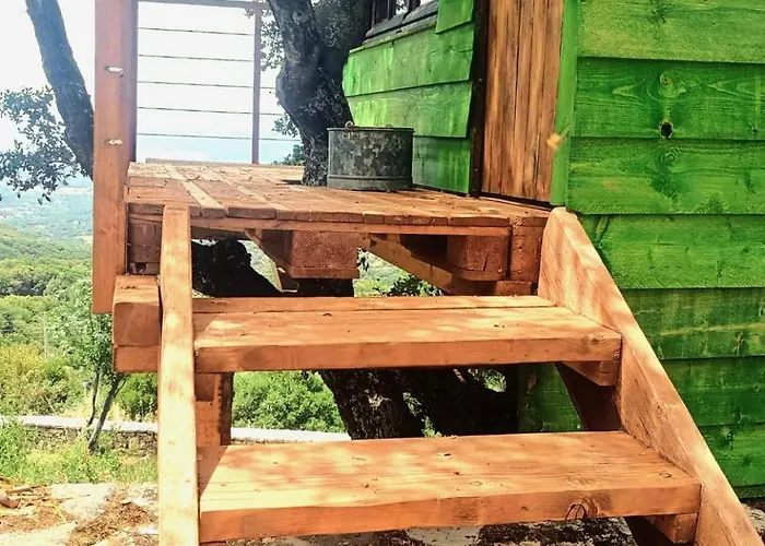 Arcadianis At Psari Trikolonon Gortynia *